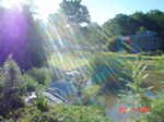 5.view.from.behind.the.pond