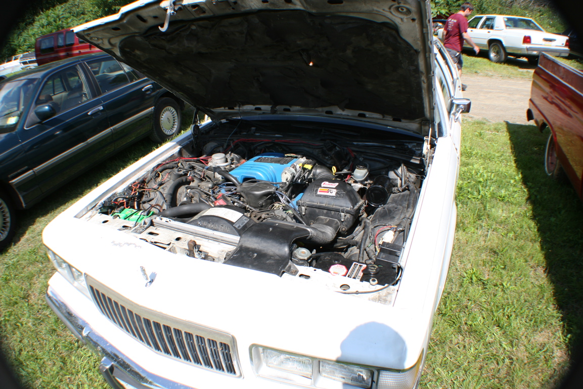 IMG_6607 copy