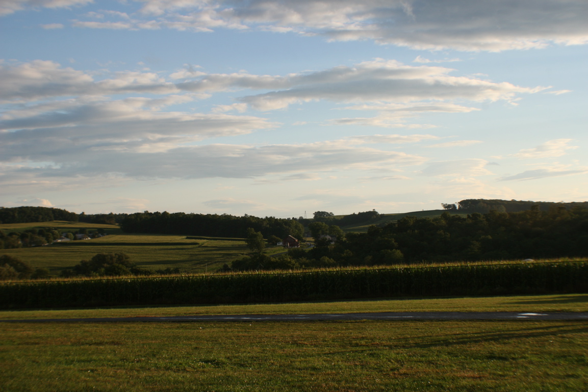 IMG_6567 copy