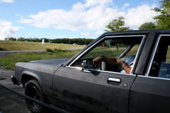 IMG_6474 copy