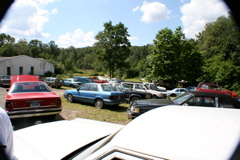 IMG_6590 copy